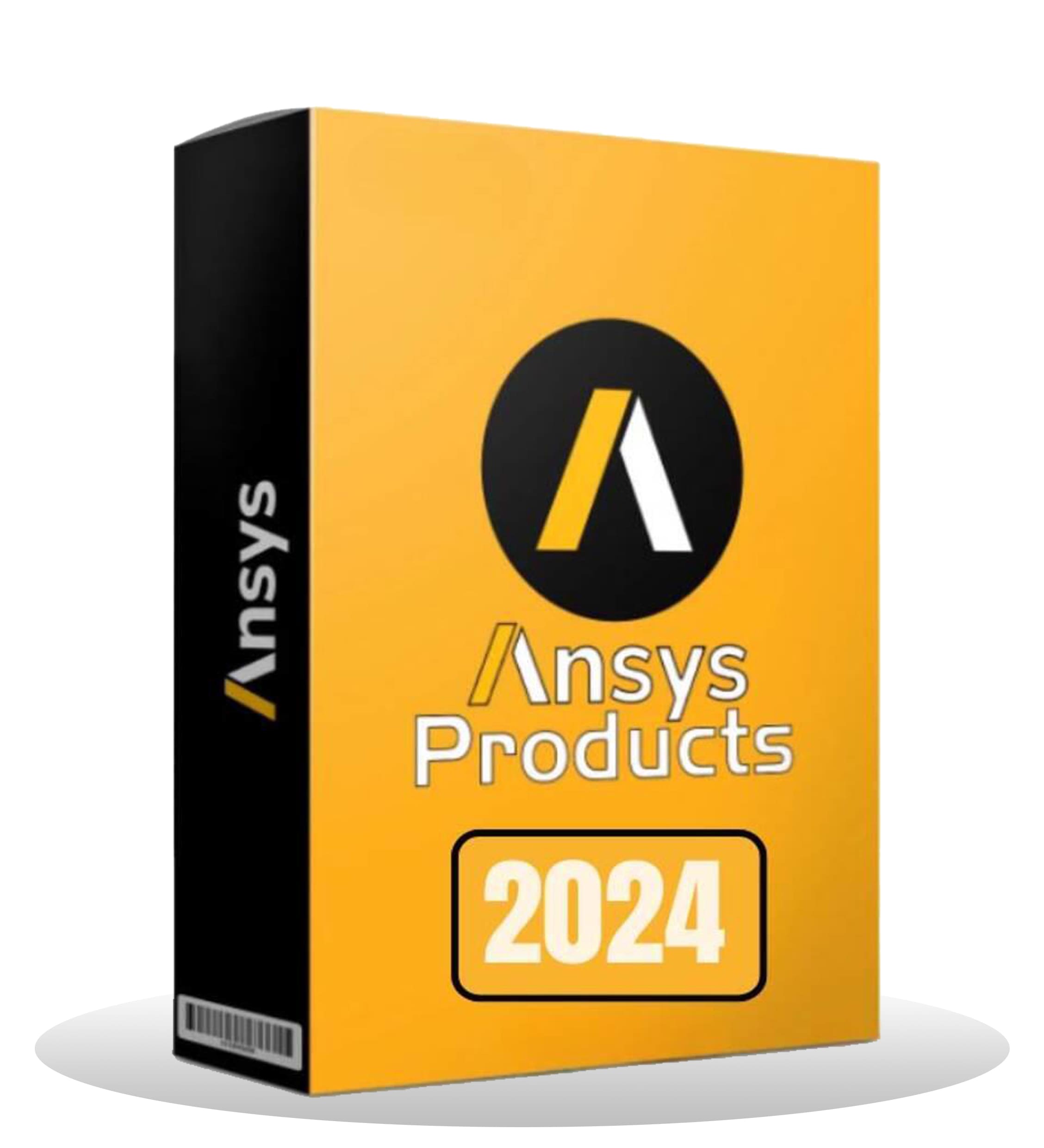 ANSYS Products 2024 R2